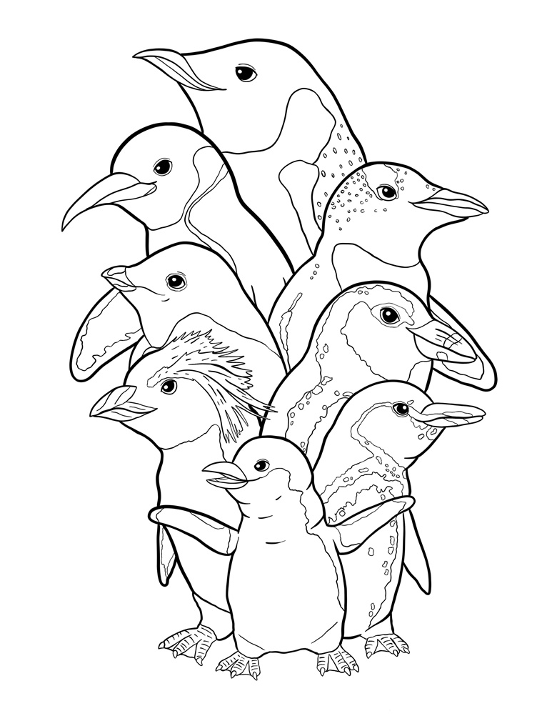 Penguin Group Coloring Page - LE Artisan Studio's Ko-fi Shop - Ko-fi ️